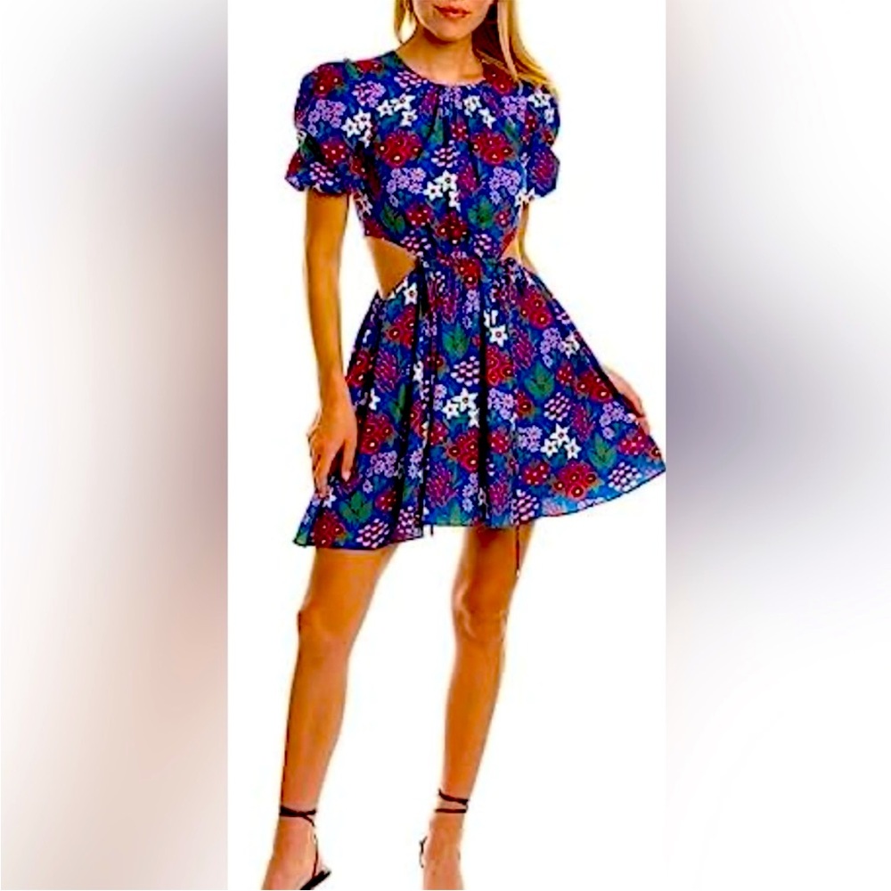 Amur dress